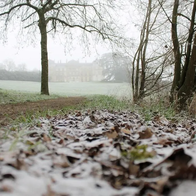 photo les feuilles mortes ont été recouvertes d’une fine pellicule blanche dans le parc du château.  ©  ouest-france