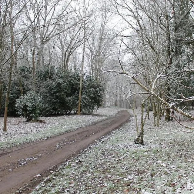 photo le parc du château a blanchi.  ©  ouest-france