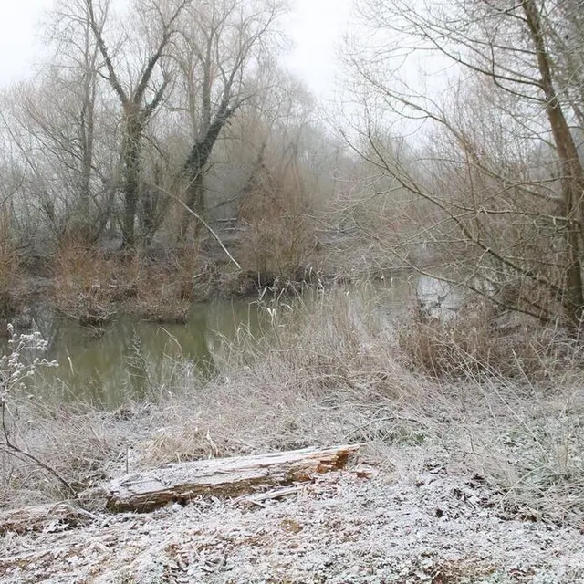 photo les bords de la vaige n’ont pas échappé à ce fin manteau blanc.  ©  ouest-france