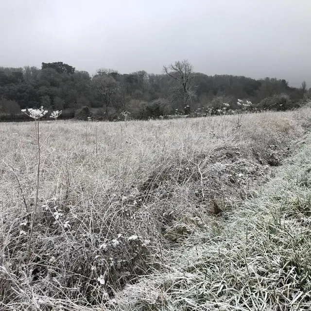 photo le bord d’une route où l’on distingue la pellicule blanche qui a recouvert la ville.  ©  ouest-france