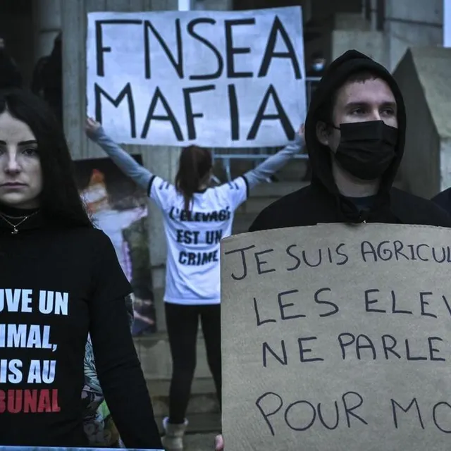 Des militants animalistes ont manifesté en soutien à neuf personnes qui sont jugées au Mans. Le Maine libre – Denis LAMBERT photo des militants animalistes ont manifesté en soutien à neuf personnes qui sont jugées au mans. © le maine libre – denis lambert