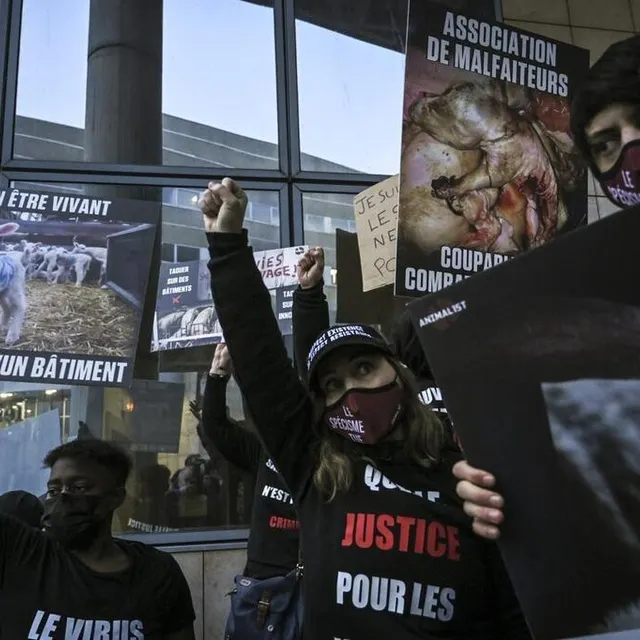 Des militants se sont réunis devant le palais de justice pour soutenir les prévenus. Le Maine Libre – Denis LAMBERT photo des militants se sont réunis devant le palais de justice pour soutenir les prévenus. © le maine libre – denis lambert