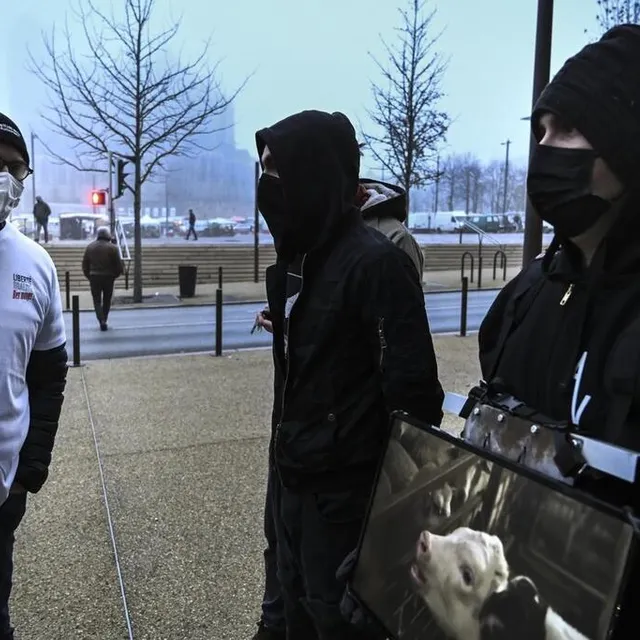 Le dialogue entre agriculteurs et militants de la cause animale n’a pas pu avoir lieu. Le Maine Libre – Denis LAMBERT photo le dialogue entre agriculteurs et militants de la cause animale n’a pas pu avoir lieu. © le maine libre – denis lambert