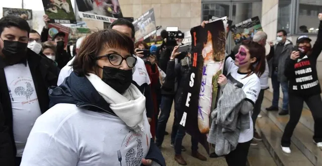 photo  devant le palais de justice du mans (sarthe), des membres de la fnsea et sa présidente christiane lambert, face à des militants animalistes. thomas bregardis / ouest-france  &copy;  thomas brégardis / ouest-france 
