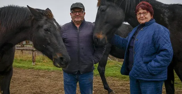 photo  jean-pierre et gisèle guay iront encourager hohneck à vincennes.  &copy;  le maine libre – yvon loue 