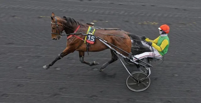 photo  nicolas bazire (davidson du pont) lors de sa dernière sortie à vincennes.  &copy;  le trot – jean-luc lamaere 