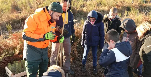 photo  l’opération de solidarité kinomé va se poursuivre en 2022 mais en forêt de perseigne.  &copy;  ouest-france 