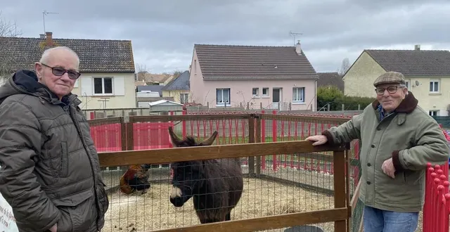 photo  l’âne étoile, dans son enclos, est venu rendre visite aux résidents de l’ehpad.  &copy;  ouest-france 