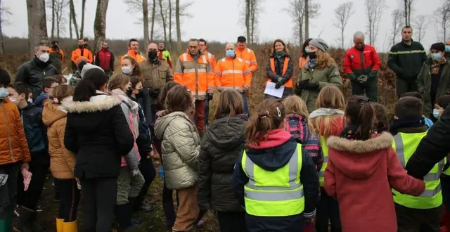 photo  une soixantaine d’élèves de primaire ont planté des arbres dans la forêt de perseigne.  &copy;  ouest-france 