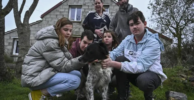 photo  l’aboiement du chien dans la nuit du 16 au 17 janvier 2022 a permis de réveiller mathéo, 16 ans, qui a pu prévenir sa famille.  &copy;  le maine libre – denis lambert 
