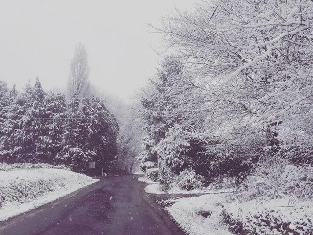 photo la sarthe sous la neige en février 2021. ici à montfort-le-gesnois.  ©  lorenza sanchez – facebook