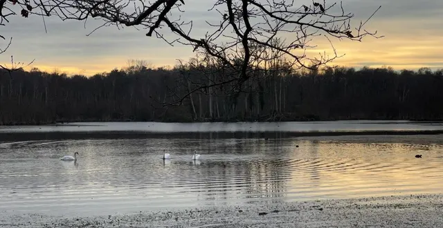 photo  les étangs de loudon et leurs alentours regorgent d'une grande diversité de faune comme de flore.  &copy;  ouest-france 