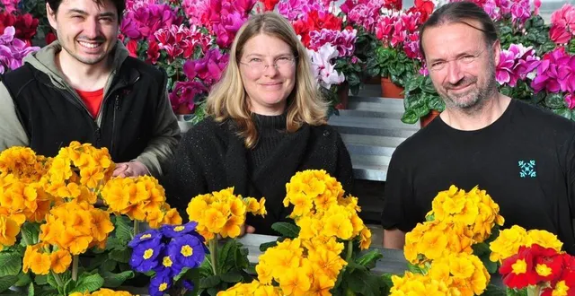 photo  victor (à gauche) a rejoint julie bansept et gwenaël fouquet en cdi depuis le 1er janvier 2022. il était saisonnier aux serres depuis bientôt trois ans.  &copy;  le maine libre 