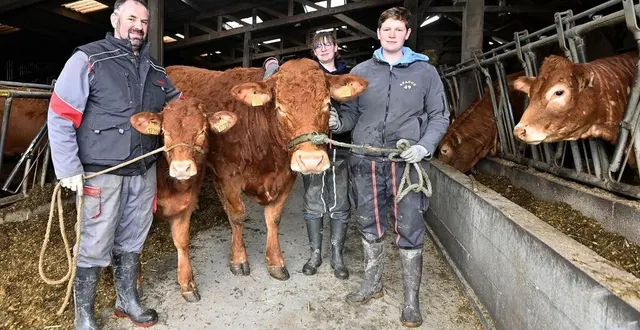 photo  bruno lambert, éleveur de limousines à la cornuaille (maine-et-loire), ses filles léa et sarah emmènent à paris nutella et son veau sucre, un duo qui pourrait faire fondre le juge du concours de la race au salon de l’agriculture.  &copy;  jérôme fouquet/ouest-france 