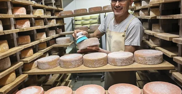 photo  villaines-sous-lucé, jeudi 10 février 2022. thierry gosselin, le fromager du gaec « le pis qui chante », dans la cave d’affinage à 12 °c, où les refrains sont retournés manuellement tous les deux à trois jours pendant plusieurs mois.  &copy;  le maine libre – denis lambert 