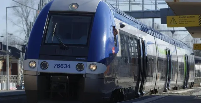 photo  un ter a heurté un chevreuil au niveau de sablé-sur-sarthe, lundi 28 février 2022, à 8 h 30. photo d’illustration.  &copy;  beatrice legrand / archives ouest-france 