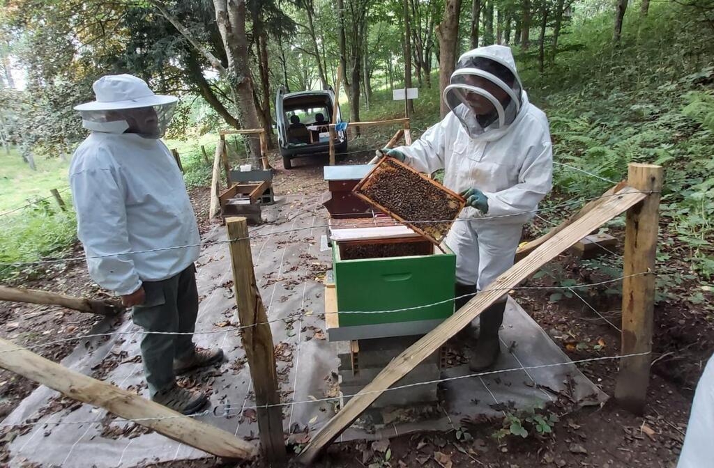 Comment installer une ruche dans votre jardin ?