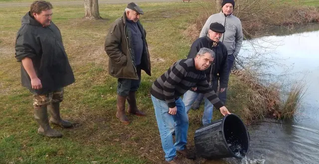 photo  hier matin, 300 truites arc-en-ciel ont été lâchées dans le plan d’eau communal d’aubigné-racan.  &copy;  le maine libre 