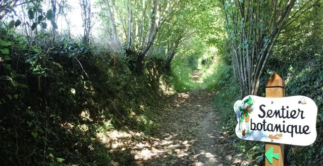 photo  deux rendez-vous sont proposés en forêt sarthoise, en mars.  &copy;  archives le maine libre 