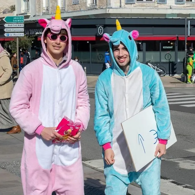 photo de drôles de licornes, avenue des martyrs-de-la-résistance.  ©  co – eric chauvet