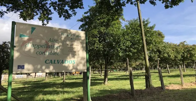 photo  la première sortie concernera la production du pommeau à la groudière.  &copy;  ouest-france 