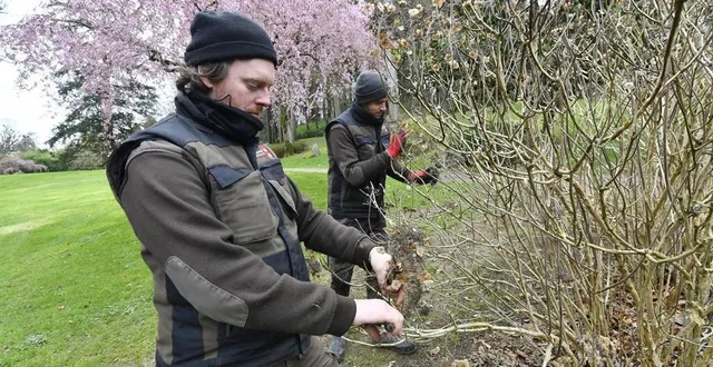photo  benoit pasquereau, au premier plan, et mathieu laux, deux des huit jardiniers du parc oriental de maulévrier.  &copy;  marc roger/ouest-france 