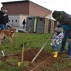 photo louis participe avec détermination à la plantation de l'arbre dont il est le parrain.