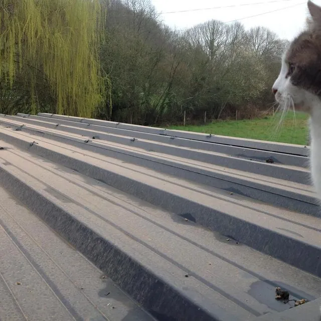 photo sur un toit du sud sarthe.  ©  le maine libre