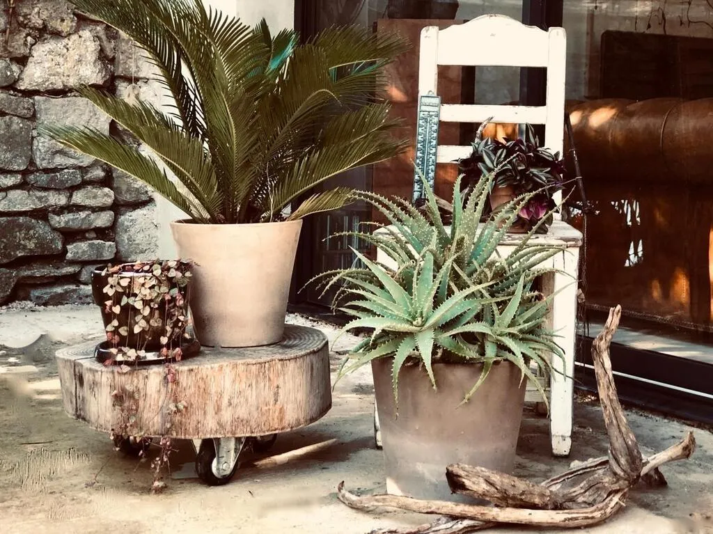 Le Mans. Le Salon de la Maison ouvre ses portes ce vendredi 18 mars