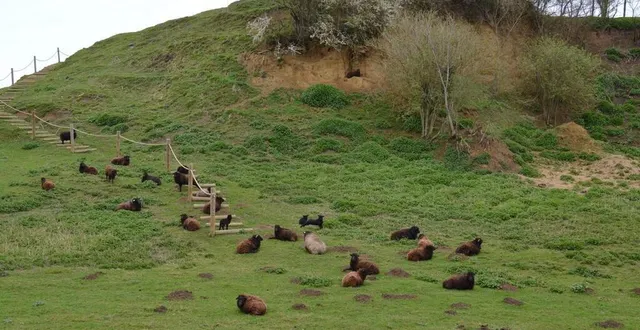 photo  l’entretien et la gestion de la butte principale de la commune reviendront peut-être à la ville. elles sont actuellement gérées par la communauté de commune maine saosnois.  &copy;  photo : ouest-france 
