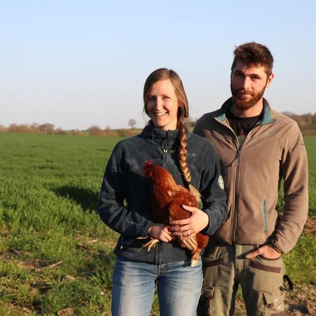 photo sarah pétreault et killian conesa ont débuté un élevage de poules bio. pour l’heure, ils en ont 70 mais aimeraient atteindre les 250 d’ici un an.  ©  ouest-france