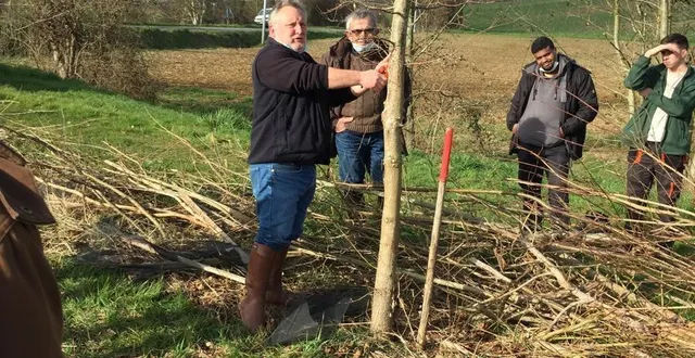 photo  pierre-louis chevreau, un agent du conseil départemental est venu expliquer la taille en arbre têtard  &copy;  le maine libre 