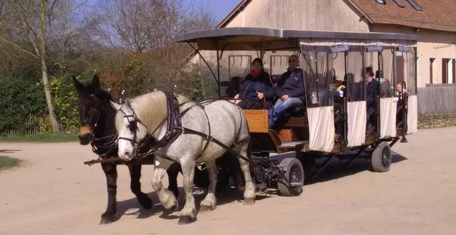 photo  l’hippomobile tractée par deux percherons est toujours un enchantement pour les enfants.  &copy;  arche de la nature 