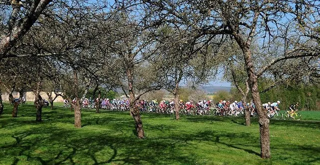 photo  lors du circuit de la sarthe 2019, le peloton avait roulé autour de sillé-le-guillaume.  &copy;  archives eddy lemaistre 