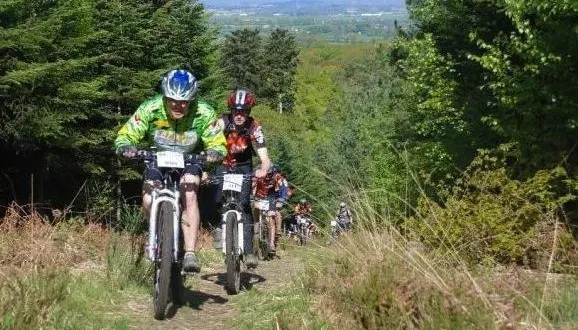 photo  forêt de perseigne, sentiers ou chemins, ce dimanche, avec la 8e édition de la ronde de perseigne, les amateurs de vtt, les marcheurs et les traileurs ont de quoi faire pour assouvir leur passion.  &copy;  archives le maine libre 