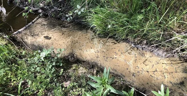 photo  la pollution est apparente dans l’eau du petit ruisseau du pont aux ânes, à saint-jean-de-la-forêt (commune nouvelle de perche-en-nocé).  &copy;  ouest-france 