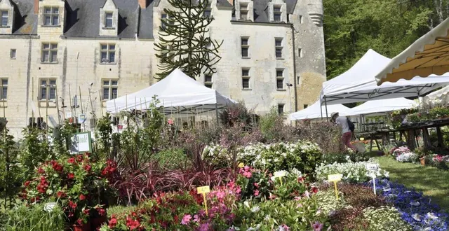 photo  fête des plantes ce week-end à courtanvaux.  &copy;  archives le maine libre 