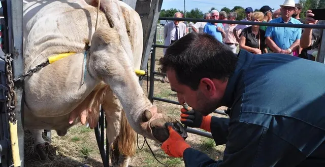 photo  clermont-créans est la dernière commune à avoir accueilli, en août 2019, le comice agricole du canton de la flèche.  &copy;  archives 