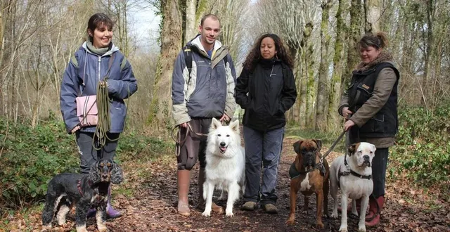photo  du 15 avril au 30 juin, il est obligatoire de tenir les chiens en laisse dans les forêts domaniales.  &copy;  photo archives le maine libre 
