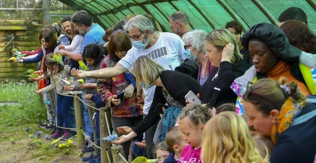 photo  spay, mercredi 13 avril 2022. donner à manger aux perruches, une animation qui enchante toujours autant les petits comme les grands et c’est possible trois fois par jour (11 h 30, 15 heures et 17h30).  &copy;  le maine libre – yvon loue 