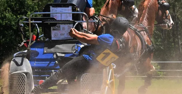 photo  l’hippodrome va accueillir son second concours d’attelage.  &copy;  c. chantepie 