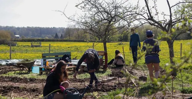 photo  alterfixe, qui se tiendra du 30 juillet au 21 août 2022, proposera des chantiers collectifs dans des fermes du bocage ornais.  &copy;  dr 