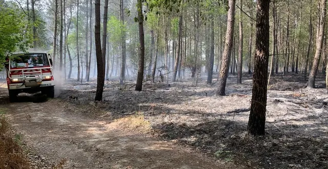 photo  une dizaine de véhicules incendie étaient engagés ce lundi 2 mai, depuis 9 h environ, dans un secteur boisé de saint-jean-de-la-motte.  &copy;  le maine libre 