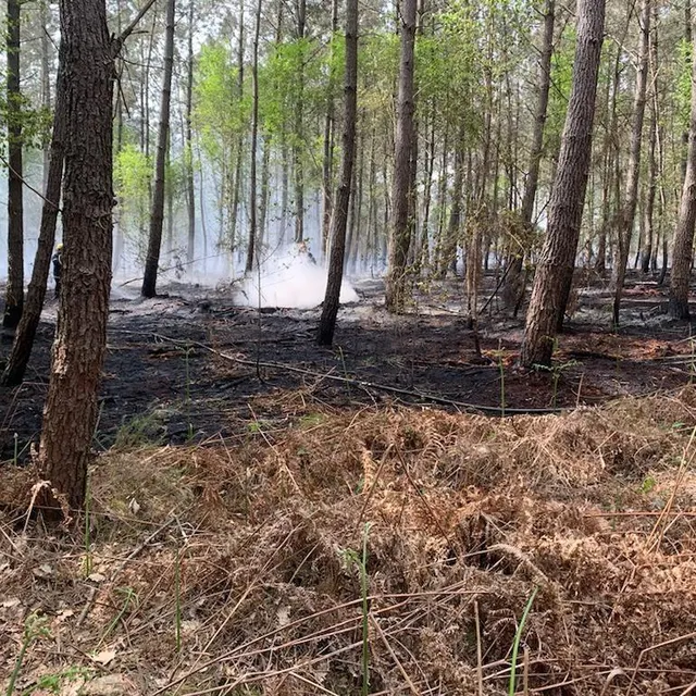 photo deux hectares de bois ont été touchés.  ©  le maine libre