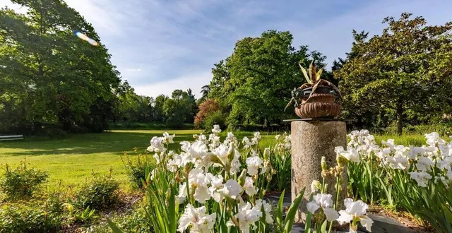 photo  à savennières, le parc du château des vaults est l’un des six lieux d’exception ouverts dans le département, ce week-end, à l’occasion du neurodon.  &copy;  co – régine lemarchand 