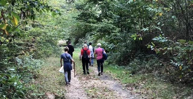 photo  vibraye, nogent-le-bernard, ruaudin… pour les amoureux des randonnées balisées, ce week-end le programme est vaste.  &copy;  archives le maine libre 