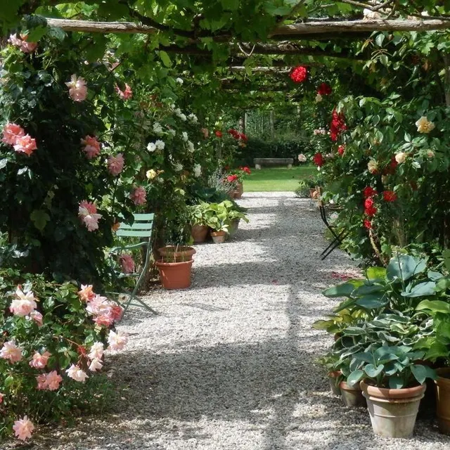 photo la pergola des jardins de chaligny, à sainte-pexine, en vendée. ?  ©  archives ouest-france
