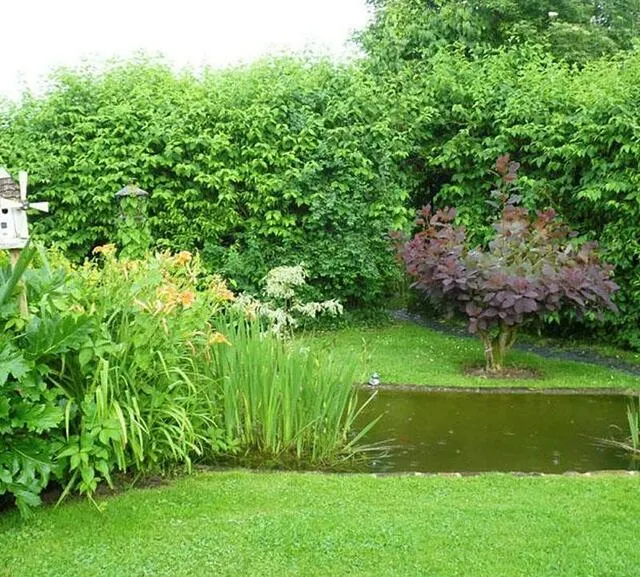 photo le jardin de la folêterie est un véritable havre de paix.  ©  archives ouest-france