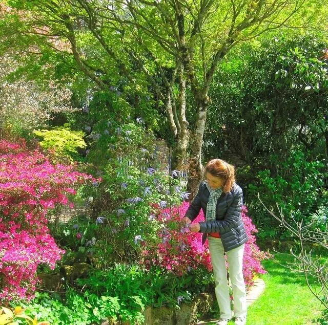 photo les chambres de verdure successives se découvrent peu à peu.  ©  ouest-france