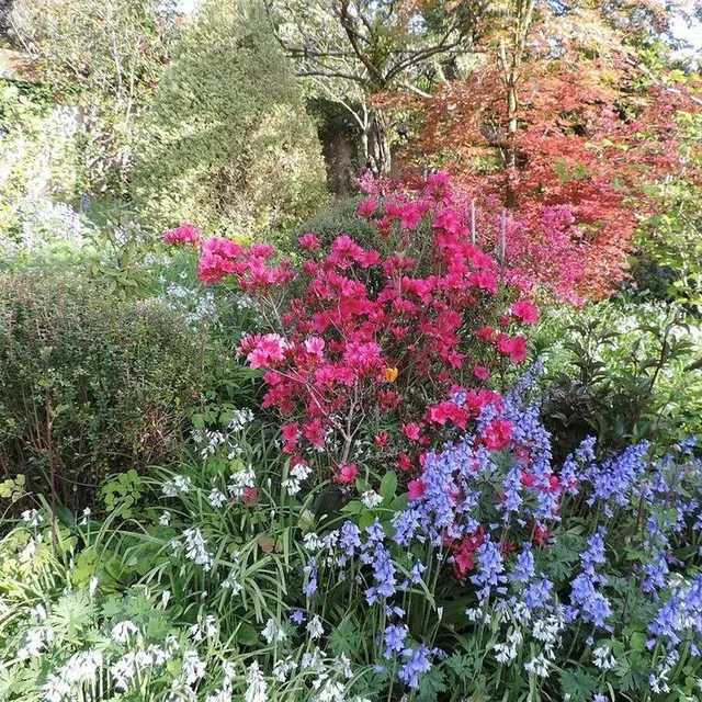 photo au total, dix jardins sont regroupés sur le site de la petite rochelle.  ©  ouest-france